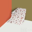 Білий Білий