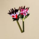 Скляна квітка Протея - фото 3