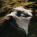 Ковер Лес - фото 4