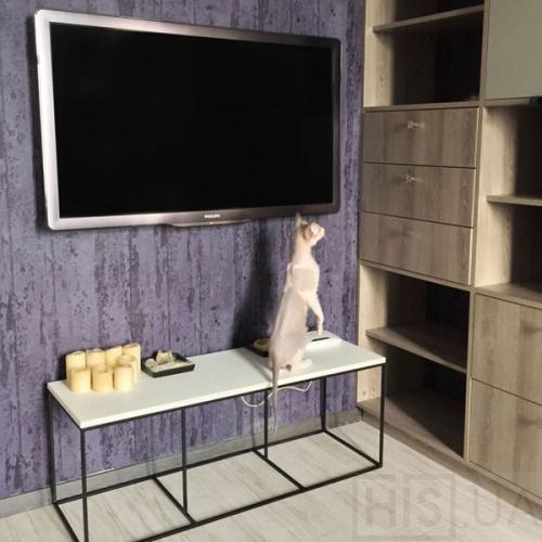 Тумба під ТВ U5 Drommel Furniture - фото 2 | Чорний Тумба під ТВ U5 Drommel Furniture - фото 2 | Чорний | Інтернет-магазин дизайнерскої та сучасної меблі для дому, кафе, барів та ресторанів - His.ua