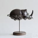 Жук носорог