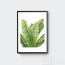 Картина Листья банана - фото 2