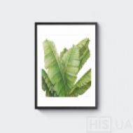 Картина Листья банана